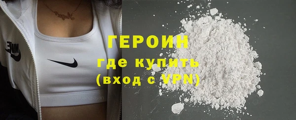 гашик Алексин