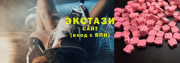 гашик Алексин