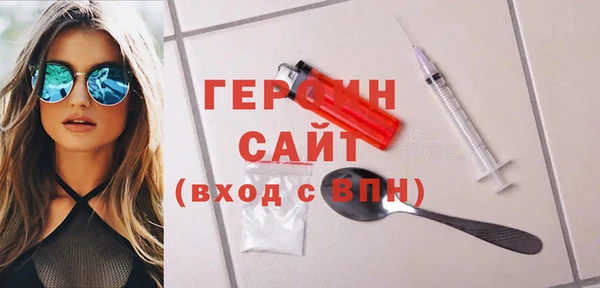 гашик Алексин