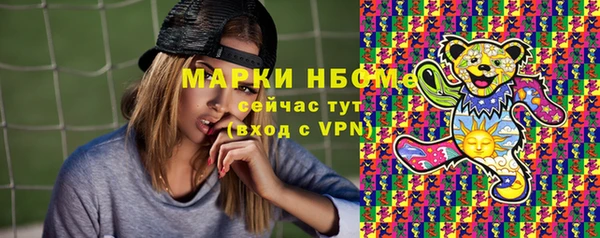 гашик Алексин