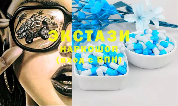 гашик Алексин