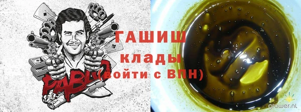 гашик Алексин
