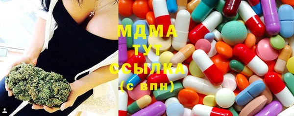 гашик Алексин