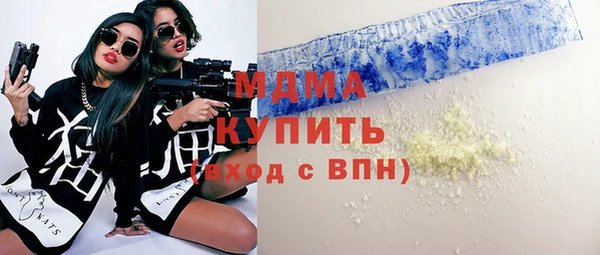 гашик Алексин